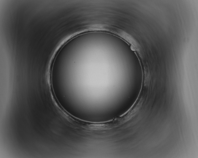 X0000100501342200806131429