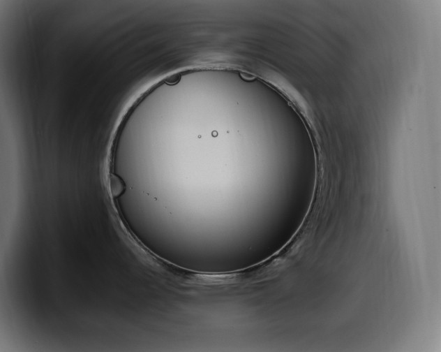 X0000100501344200806131429