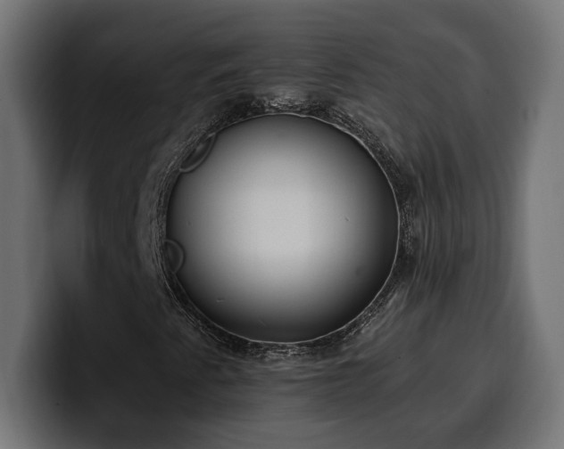 X0000100501345200806131428