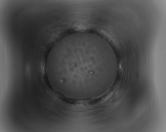 X0000100501348200806131428