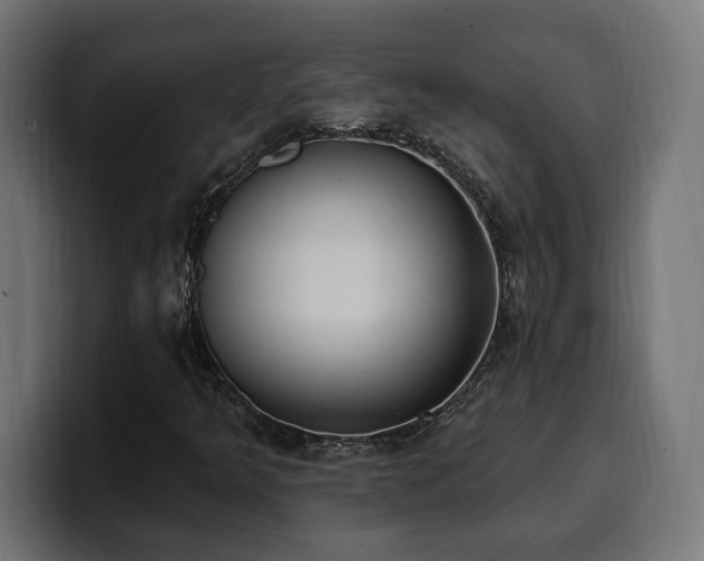 X0000100501349200806131428