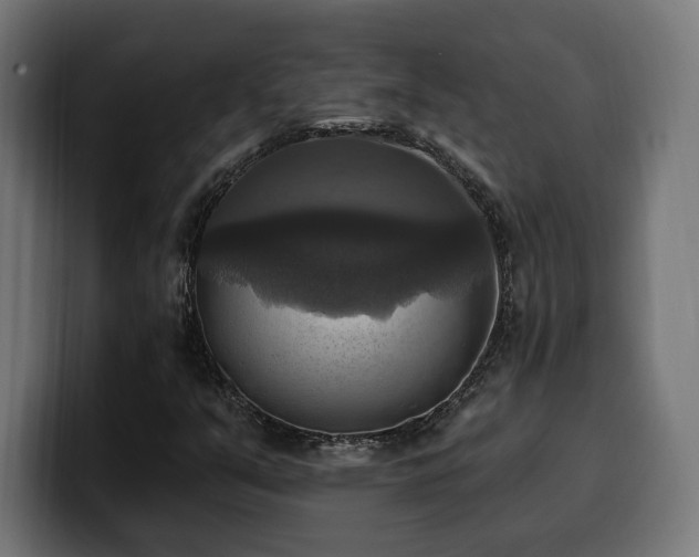 X0000100501351200806131428