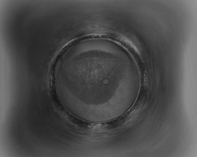 X0000100501352200806131428