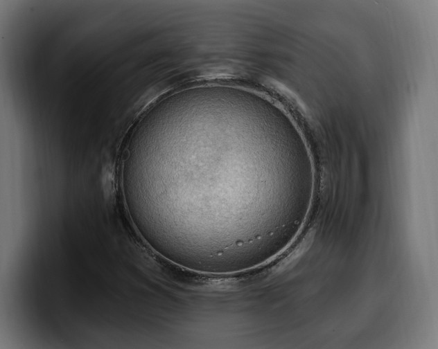 X0000100501353200806131428