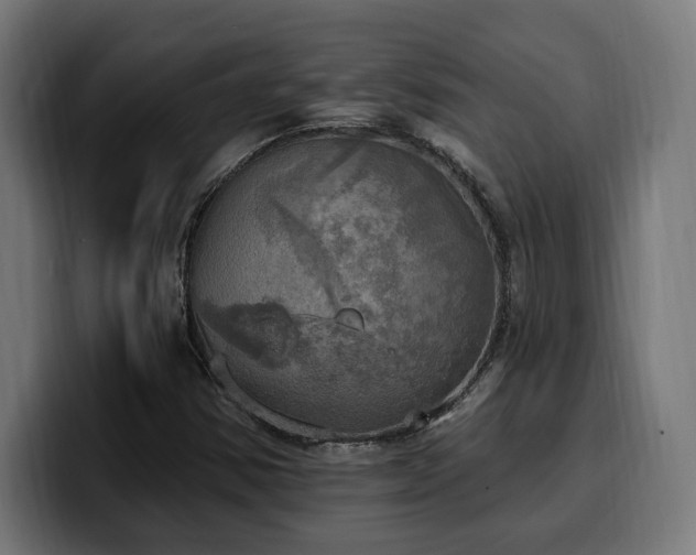 X0000100501354200806131428