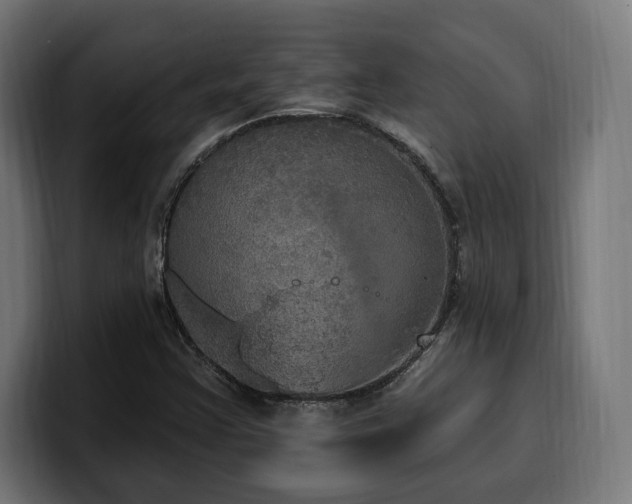 X0000100501355200806131428