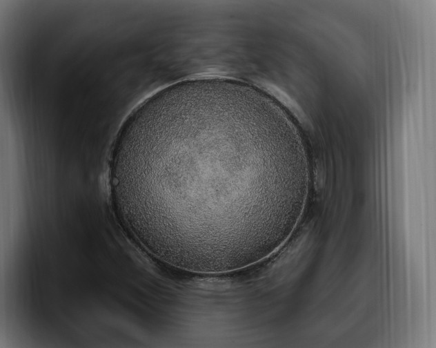 X0000100501356200806131428