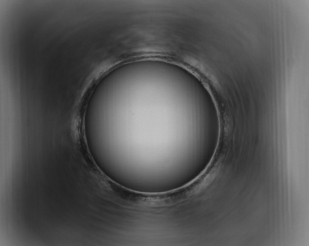 X0000100501357200806131428