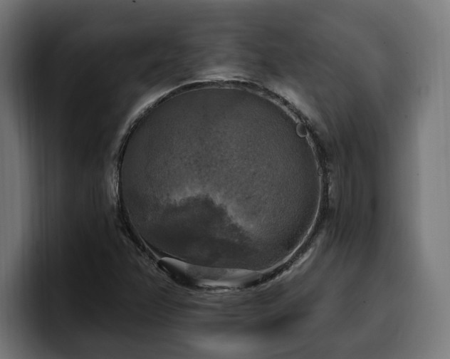 X0000100501358200806131428