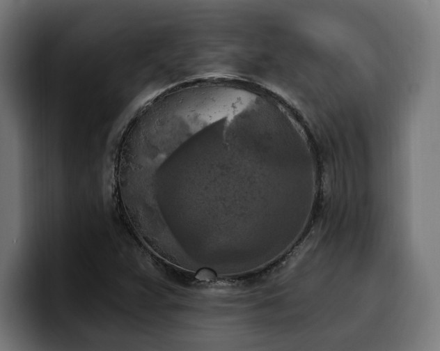 X0000100501359200806131428