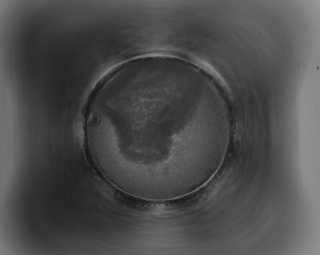 X0000100501360200806131428