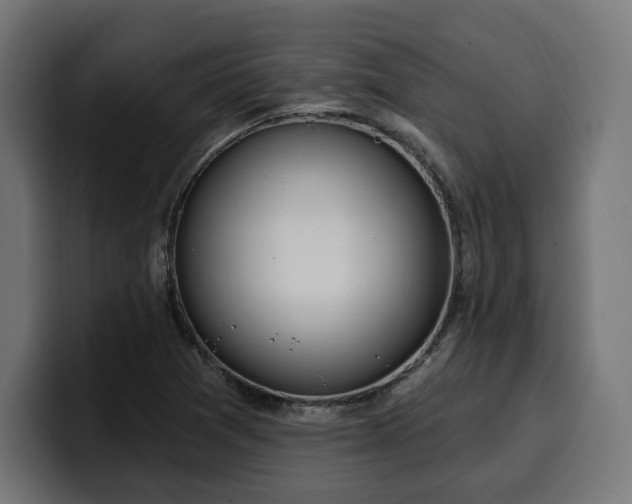 X0000100501361200806131428