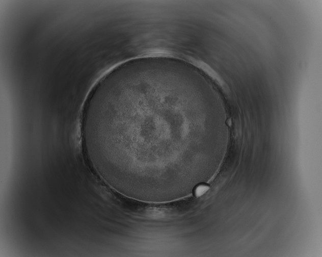 X0000100501364200806131428