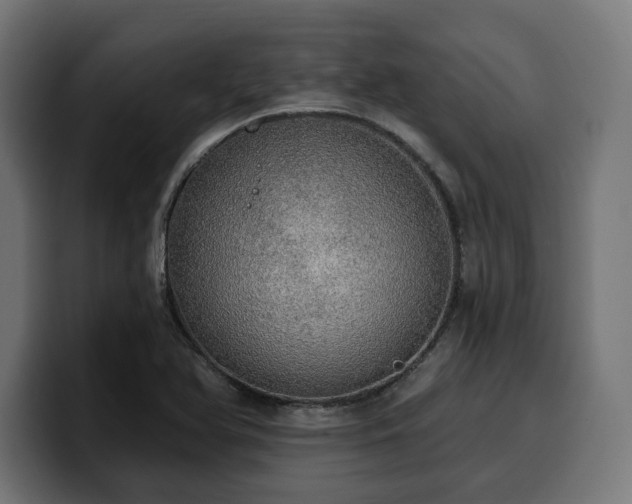 X0000100501366200806131428