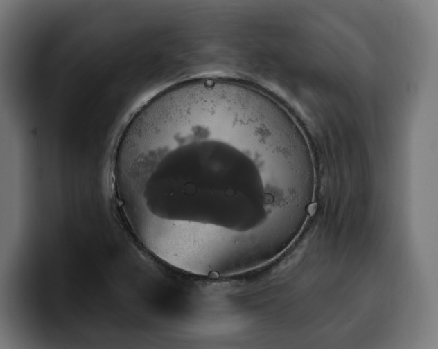 X0000100501367200806131428