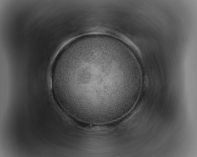 X0000100501368200806131428