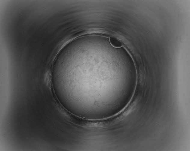 X0000100501369200806131428