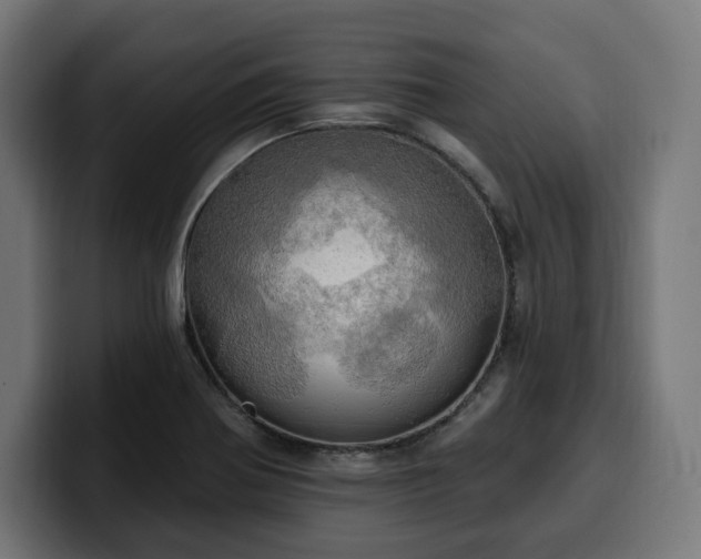 X0000100501370200806131428