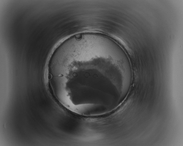 X0000100501371200806131428