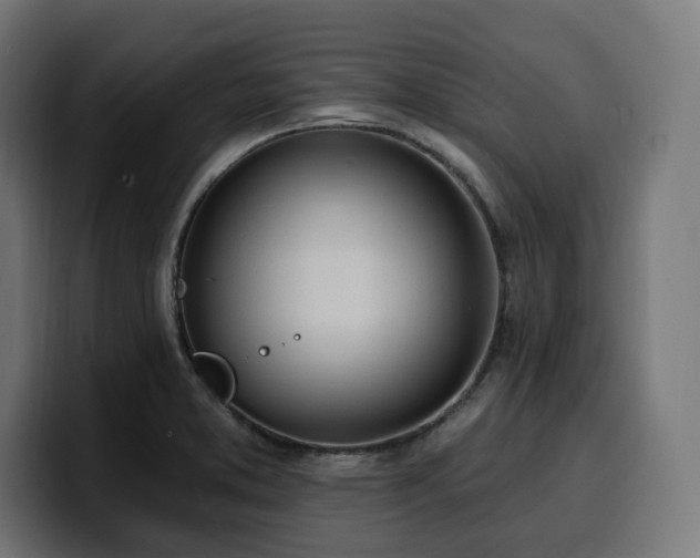 X0000100501373200806131428