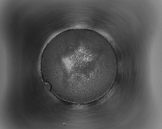 X0000100501374200806131428