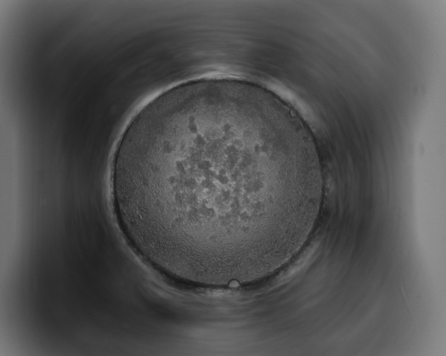 X0000100501375200806131428