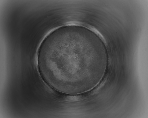 X0000100501376200806131428