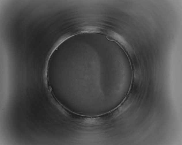 X0000100501378200806131428