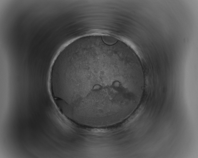 X0000100501379200806131428