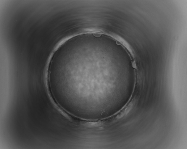 X0000100501381200806131428