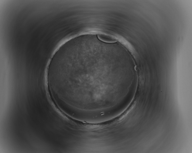 X0000100501382200806131428