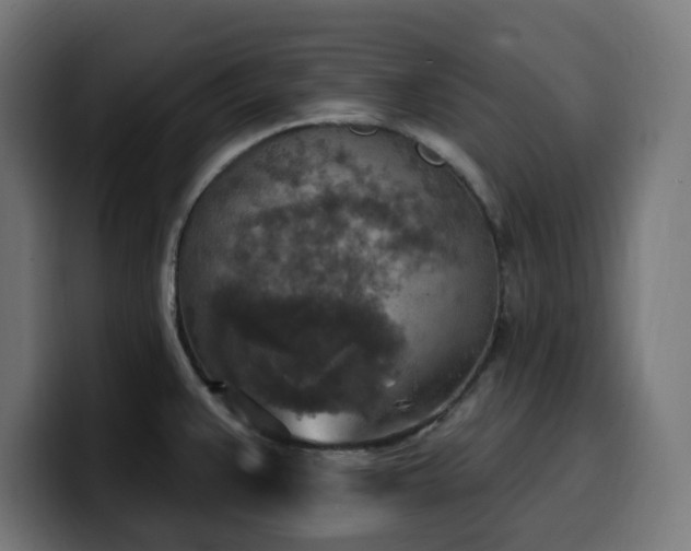 X0000100501383200806131428