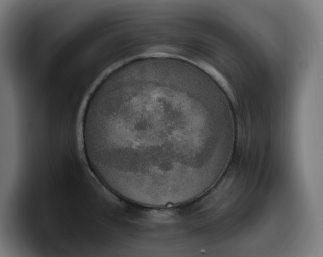 X0000100501384200806131428