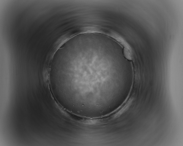 X0000100501385200806131428