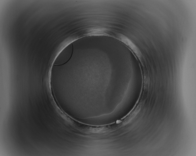 X0000100501386200806131428