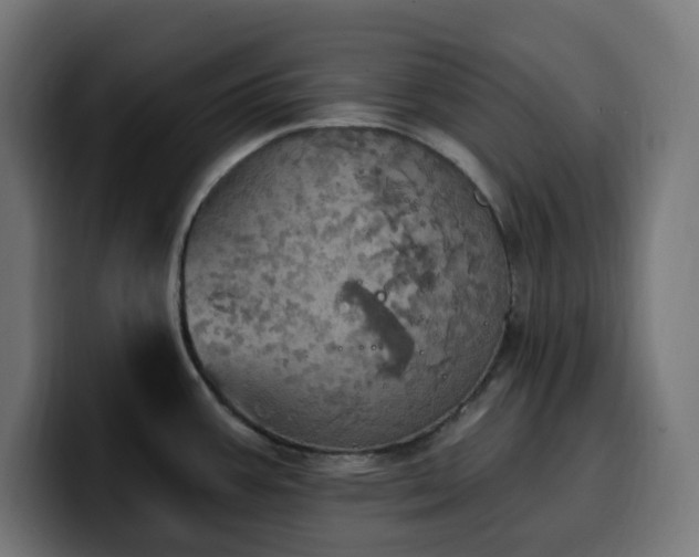 X0000100501387200806131428