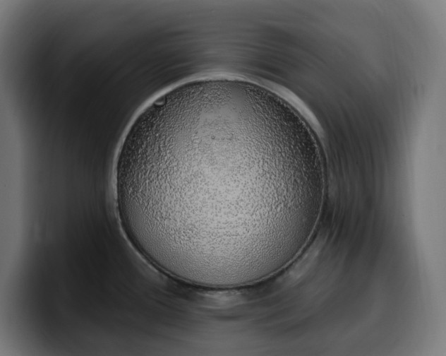 X0000100501388200806131428