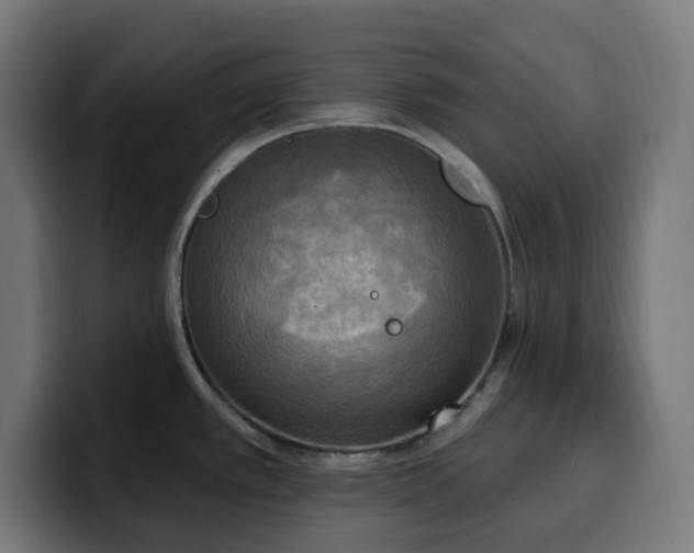 X0000100501389200806131427