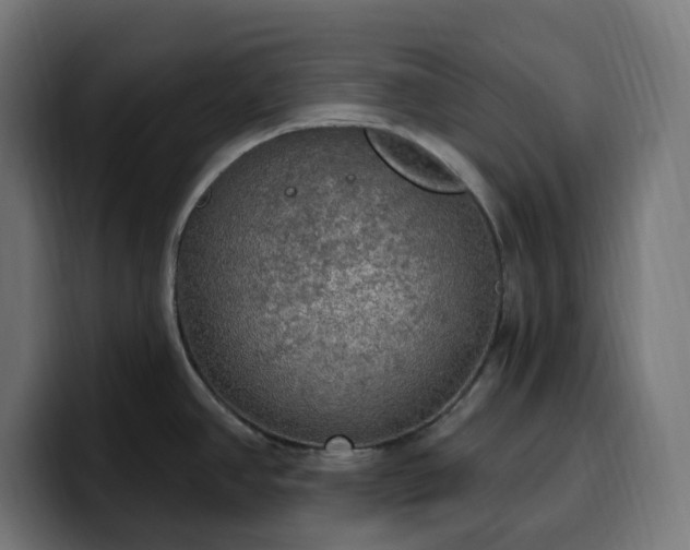 X0000100501390200806131427