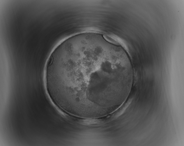 X0000100501391200806131427