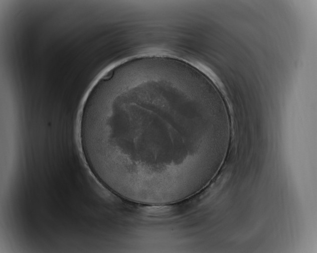 X0000100501392200806131427