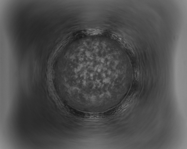 X0000100501393200806131427