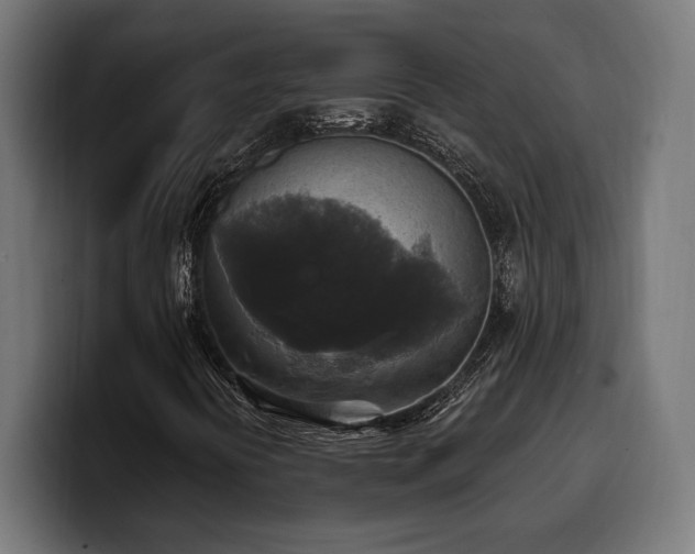 X0000100501394200806131427