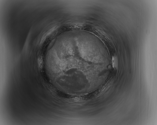 X0000100501395200806131427