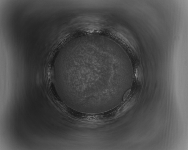 X0000100501396200806131427