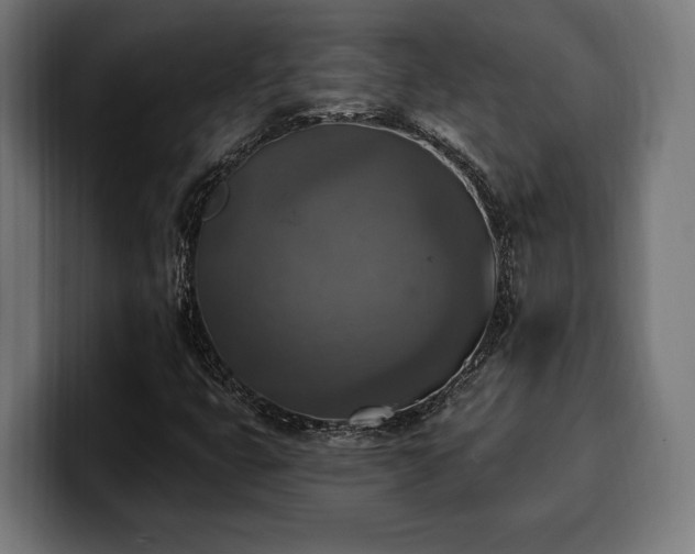 X0000100501399200806131427