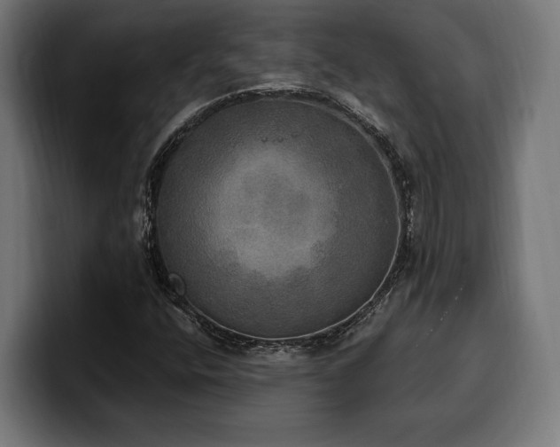 X0000100501400200806131427