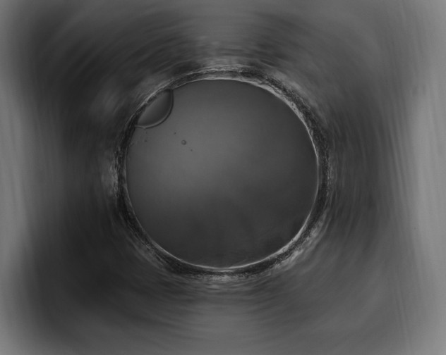 X0000100501401200806131427