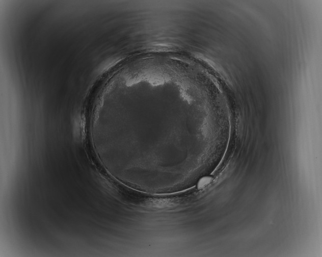 X0000100501402200806131427