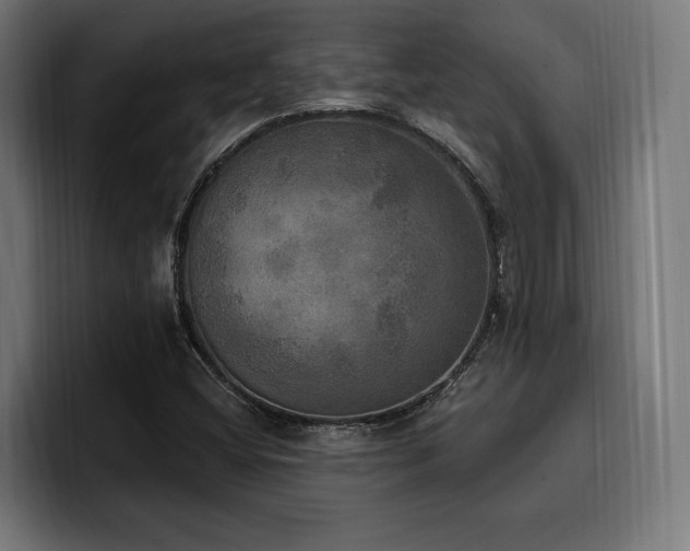 X0000100501404200806131427